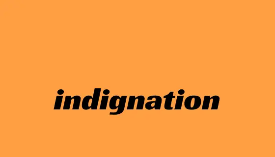 indignationってどういう意味？